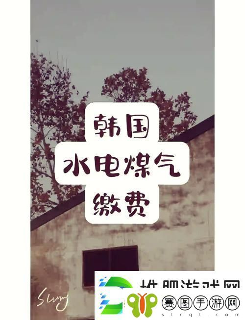 好看的韩国三色电费