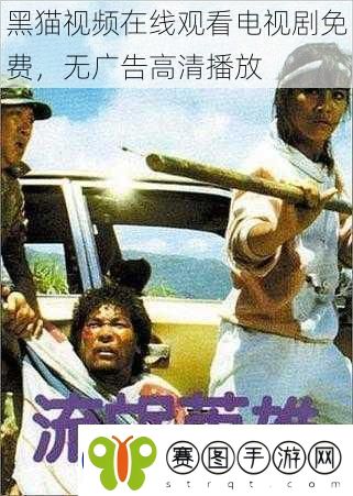 黑猫视频在线观看电视剧免费无广告高清播放