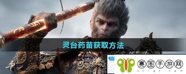 橙意！黑神话悟空灵台药苗怎么获得