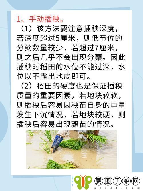 夫妻插秧38种合作方式优雅共舞田间的春风