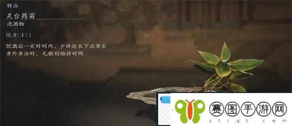橙意！黑神话悟空灵台药苗怎么获得