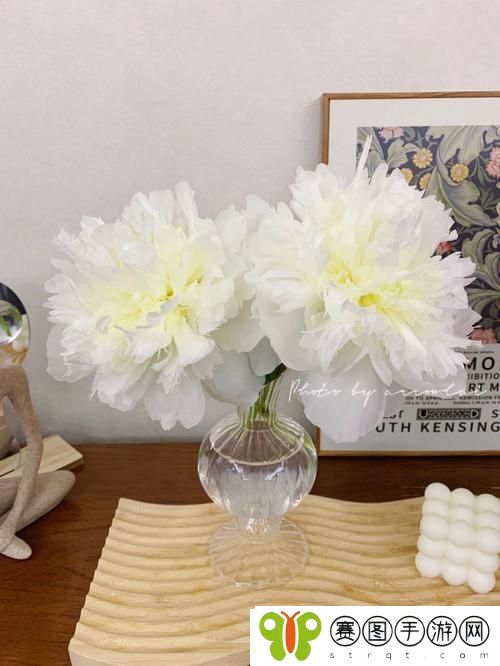 双阳插花芯