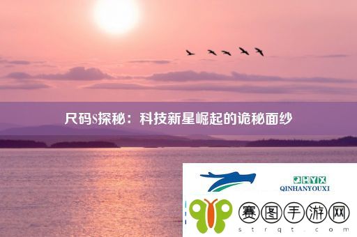 尺码S探秘