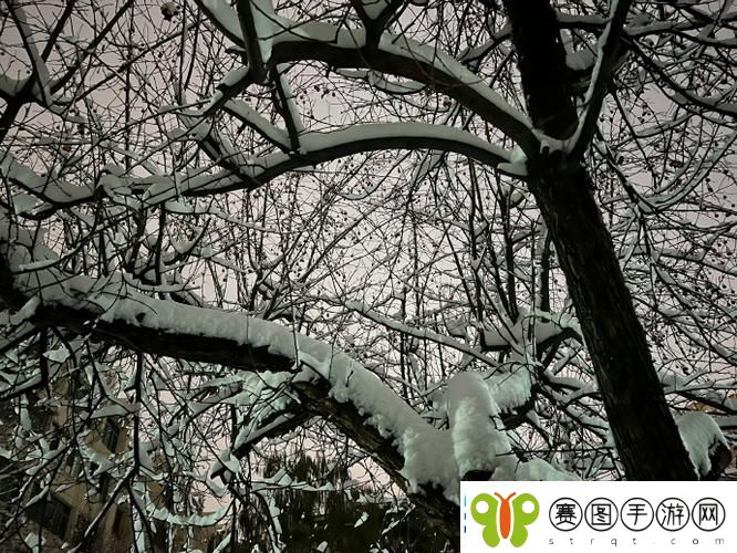 小雪爽⋯好大⋯快⋯深点的奇幻冬日柯林资讯