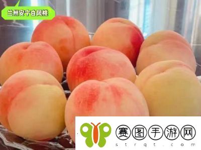 熟透的水蜜桃非常甜改为比喻句
