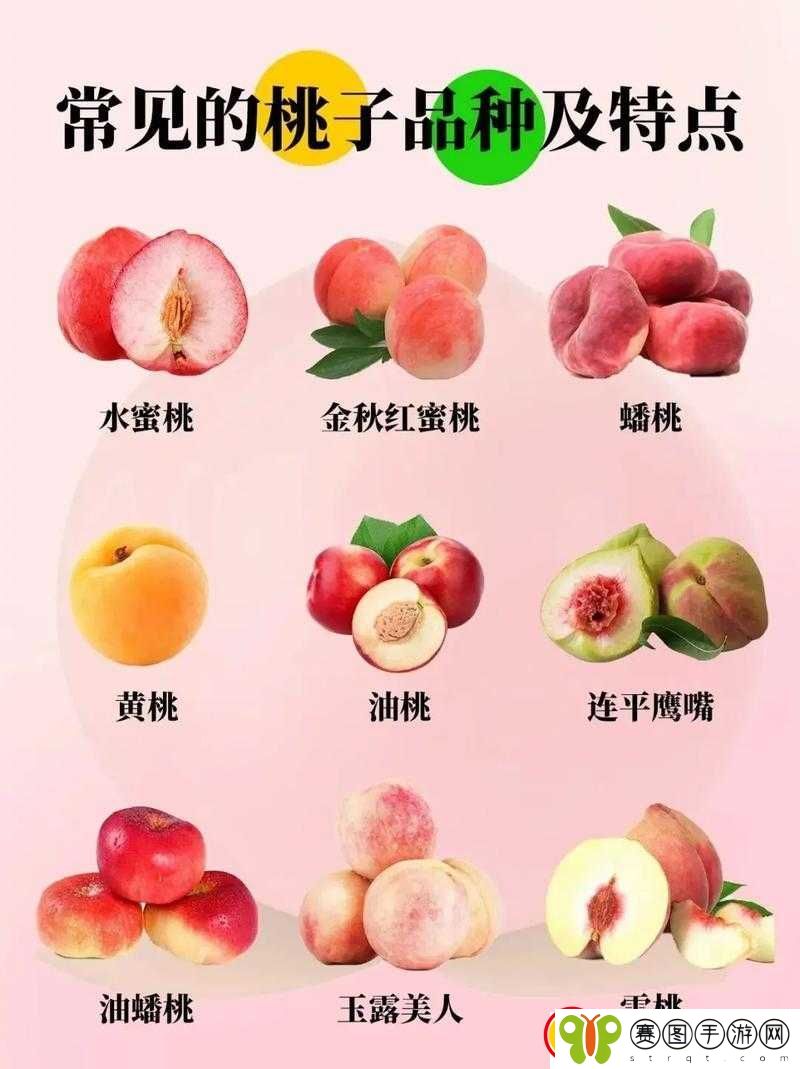 蜜桃产品一二三产区特色及优势介绍
