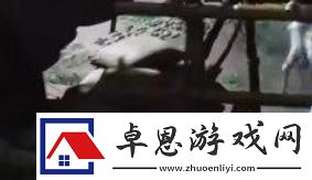 燕云十六声大郎无伤逃课
