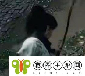 燕云十六声大郎无伤逃课