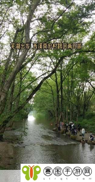 柬埔寨幼稚绿野仙踪www将迎来全民直播，1. 柬埔寨幼稚绿野仙踪全民直播盛典即将开启