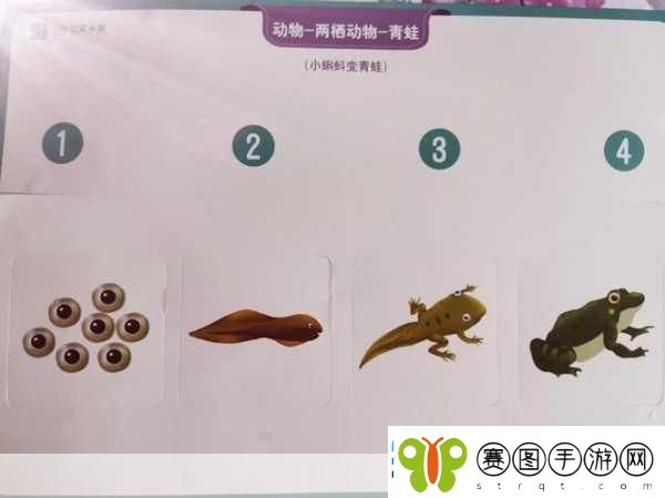 从后面是不是要紧一些当然可以以下是一些基于“从后面是不是要紧”这一主题拓展出的新