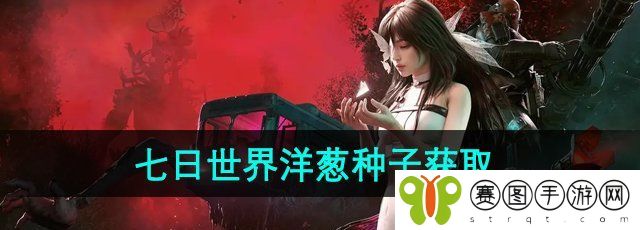《七日世界》洋葱种子获取方法