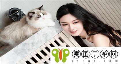 97影院理论午夜伦不卡**：探索无缝观影体验与隐秘世界