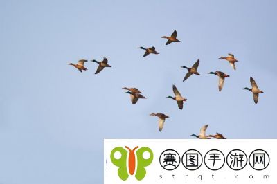 大开大合地动了起来
