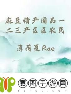 探索“精产国品一二三产区”的发展潜力与未来