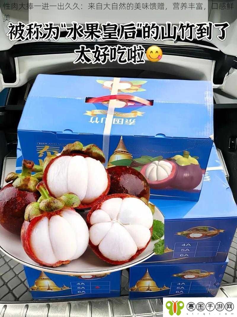 性肉大捧一进一出久久
