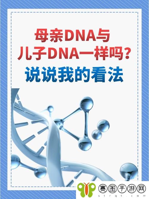 母亲的DNA与儿子的DNA