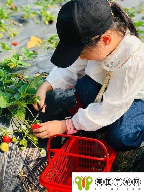 小孩半夜喂姐姐吃萝卜游戏