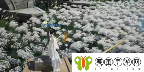 射雕手游梅花肯瓷全收集攻略