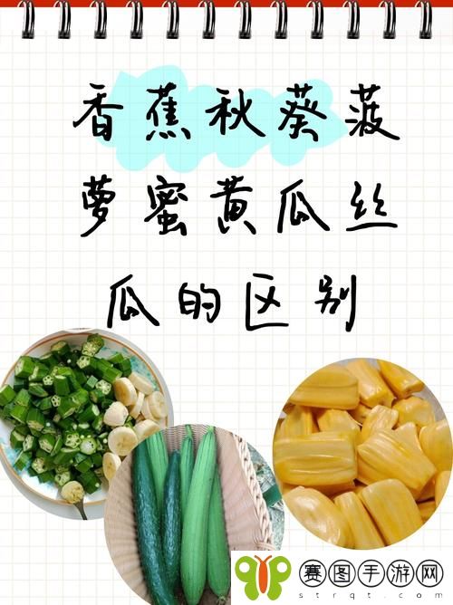 香蕉黄瓜丝瓜哈密瓜秋葵
