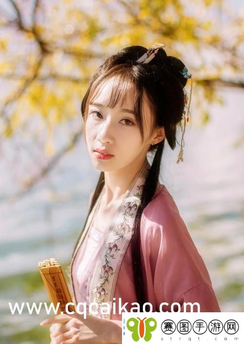 混乱小镇售票员用B检票系统