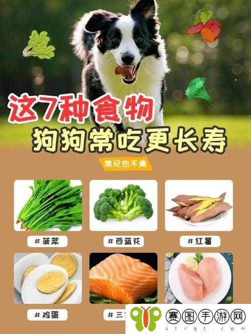 狗狗和人胶配方大全高清