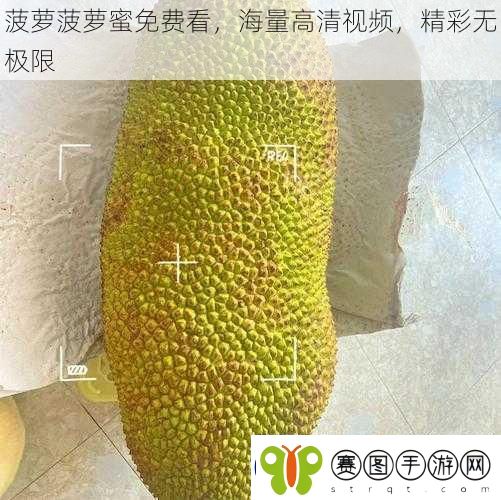 菠萝菠萝蜜免费看海量高清视频精彩无极限