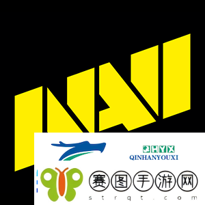 NiKo论2024年经历
