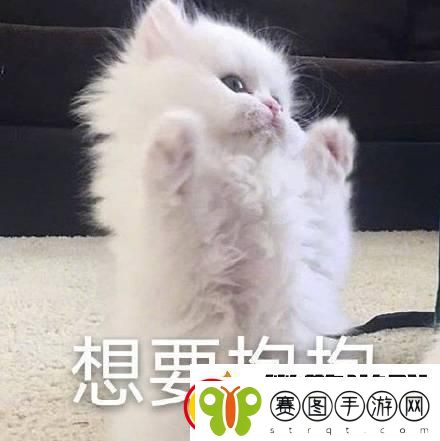 **焚身