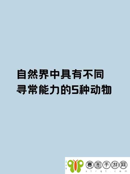 顶的速度越来越快的强烈冲击感来袭
