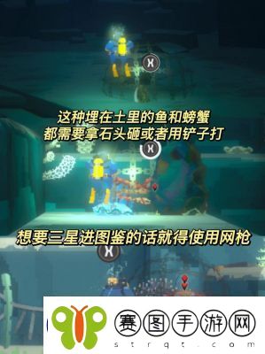 潜水员戴夫手机版预计2025年4月上线