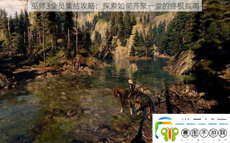 巫师3全员集结攻略