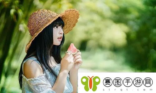 韩国理论大全友评价