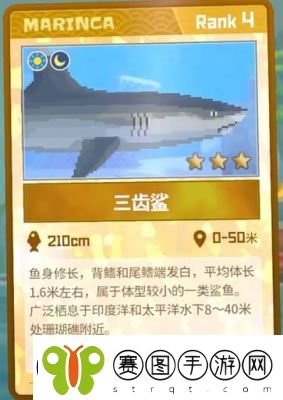 潜水员戴夫端游和手游区别对比及攻略汇总