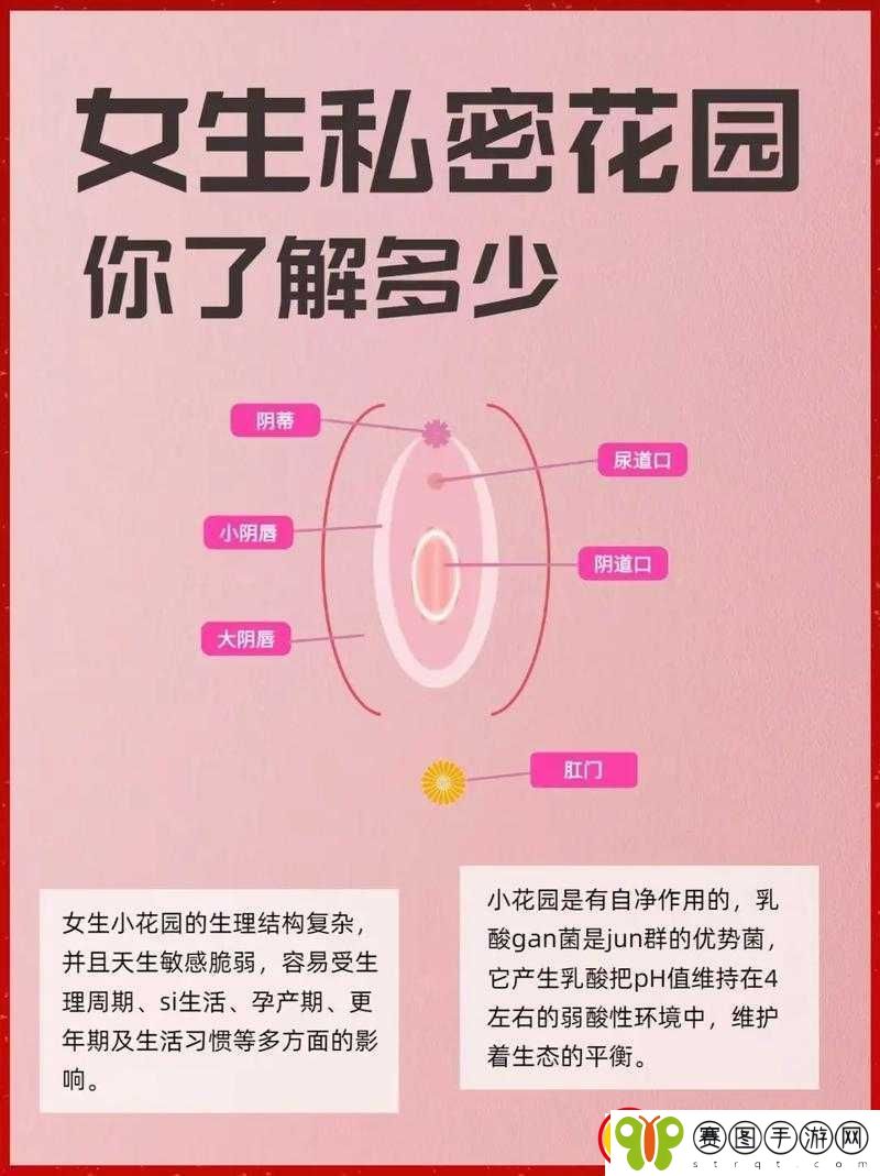 亲小花园的时候需要垫枕头吗