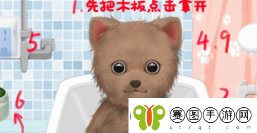 收纳物语狗狗spa怎么过