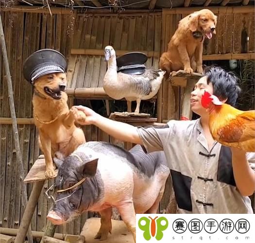 人与畜禽CROPROATION免费