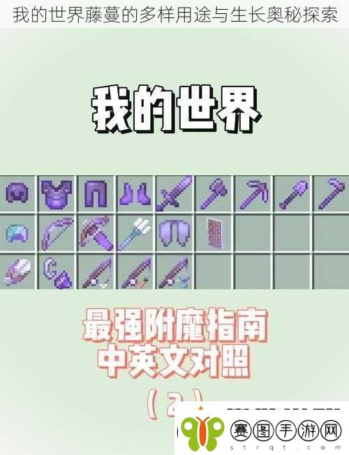 我的世界藤蔓的多样用途与生长奥秘探索