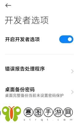 如何开启小米11的开发者模式