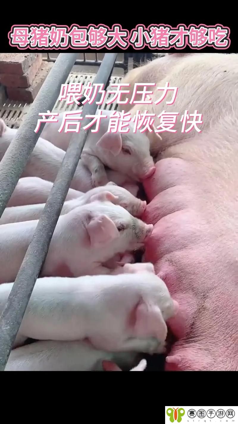 一边下奶一吃敷视频
