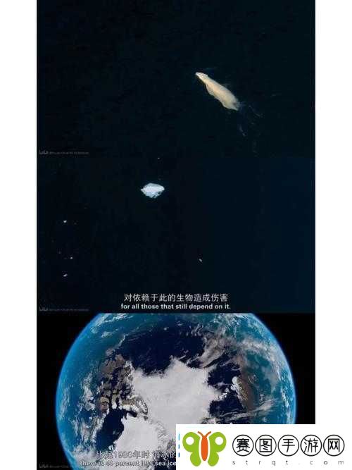 深入探索神秘仙境
