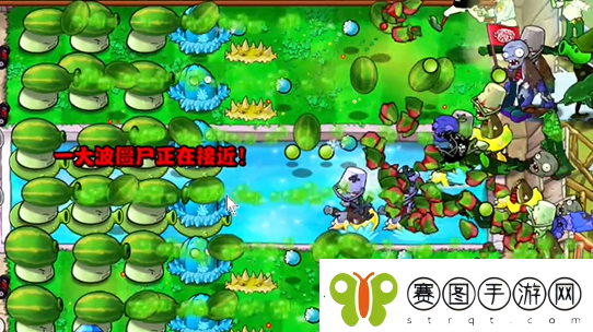 植物大战僵尸杂交版泳池防守第六关怎么过