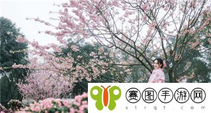 6996电视影片免费人数与人口：6996电视影片免费观众的增长与人口结构