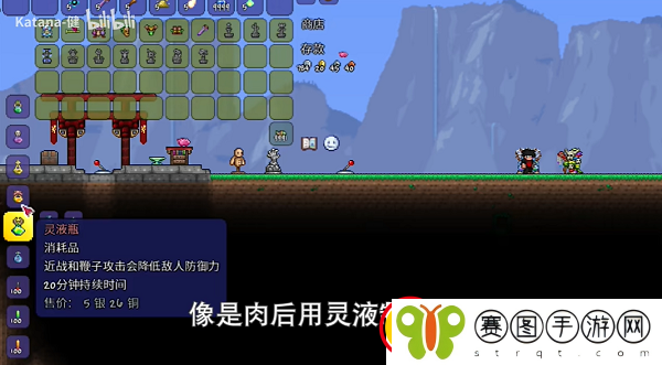 泰拉瑞亚巫医入住条件是什么