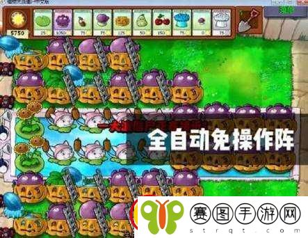 幽行玄城火龙宫