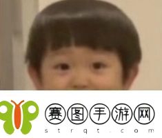 打直球式恋爱是什么梗络用语打直球式恋爱梗意思及出处分享