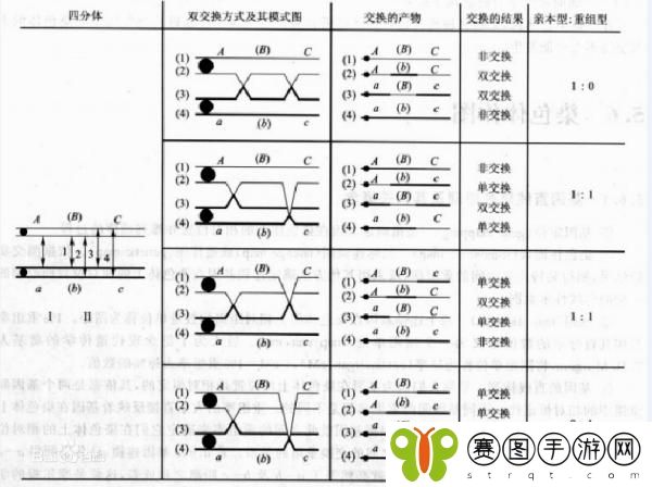 交换する和取り替える的区别