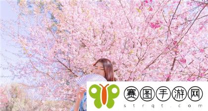 大战尼姑在线观看免费播放：观看途径及影片背后的文化影响