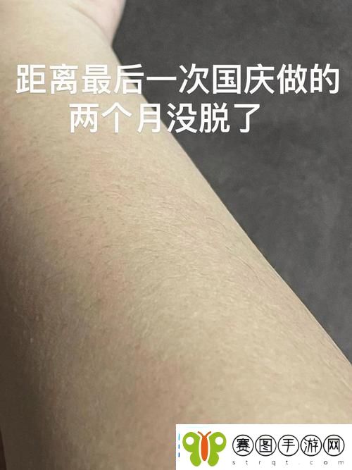 深入解析AAAA级毛和AAAA的区别