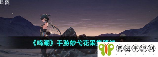 《鸣潮》手游妙弋花采集路线