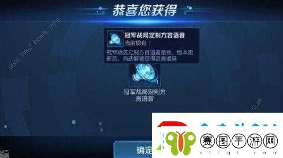 王者荣耀冠军语音的获取途径与管理策略